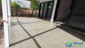 honed concrete outdoor entertaining area